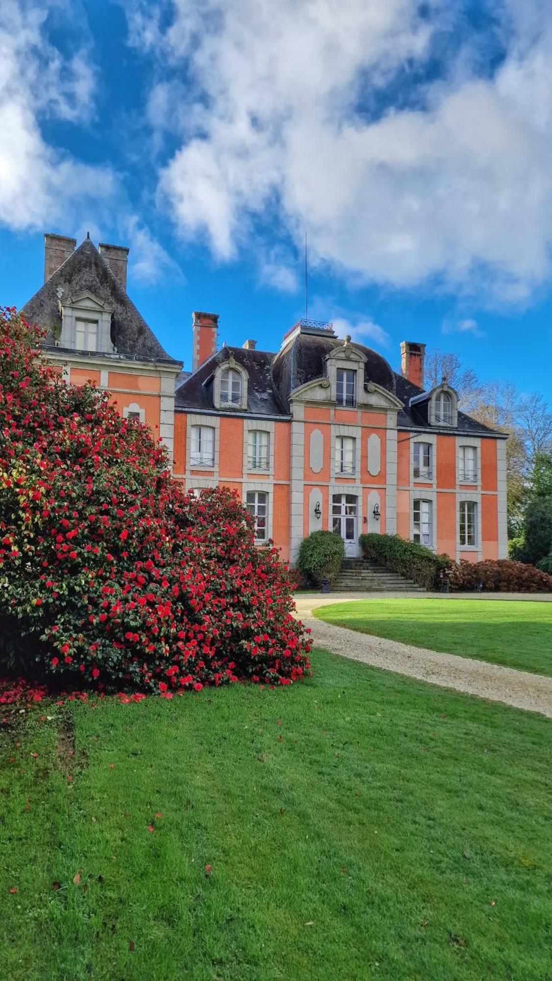 Chateau De Chantore Bacilly Zewnętrze zdjęcie