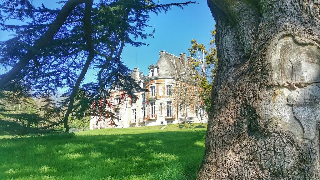 Chateau De Chantore Bacilly Zewnętrze zdjęcie