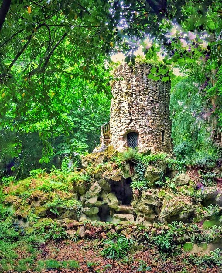Chateau De Chantore Bacilly Zewnętrze zdjęcie