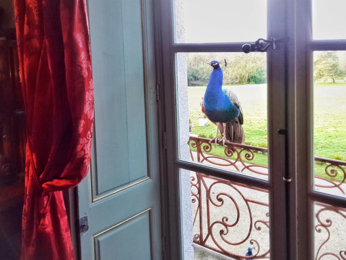 Chateau De Chantore Bacilly Zewnętrze zdjęcie